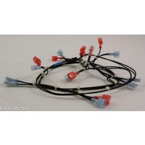 Echelon Wire Harness (Pre 2009)